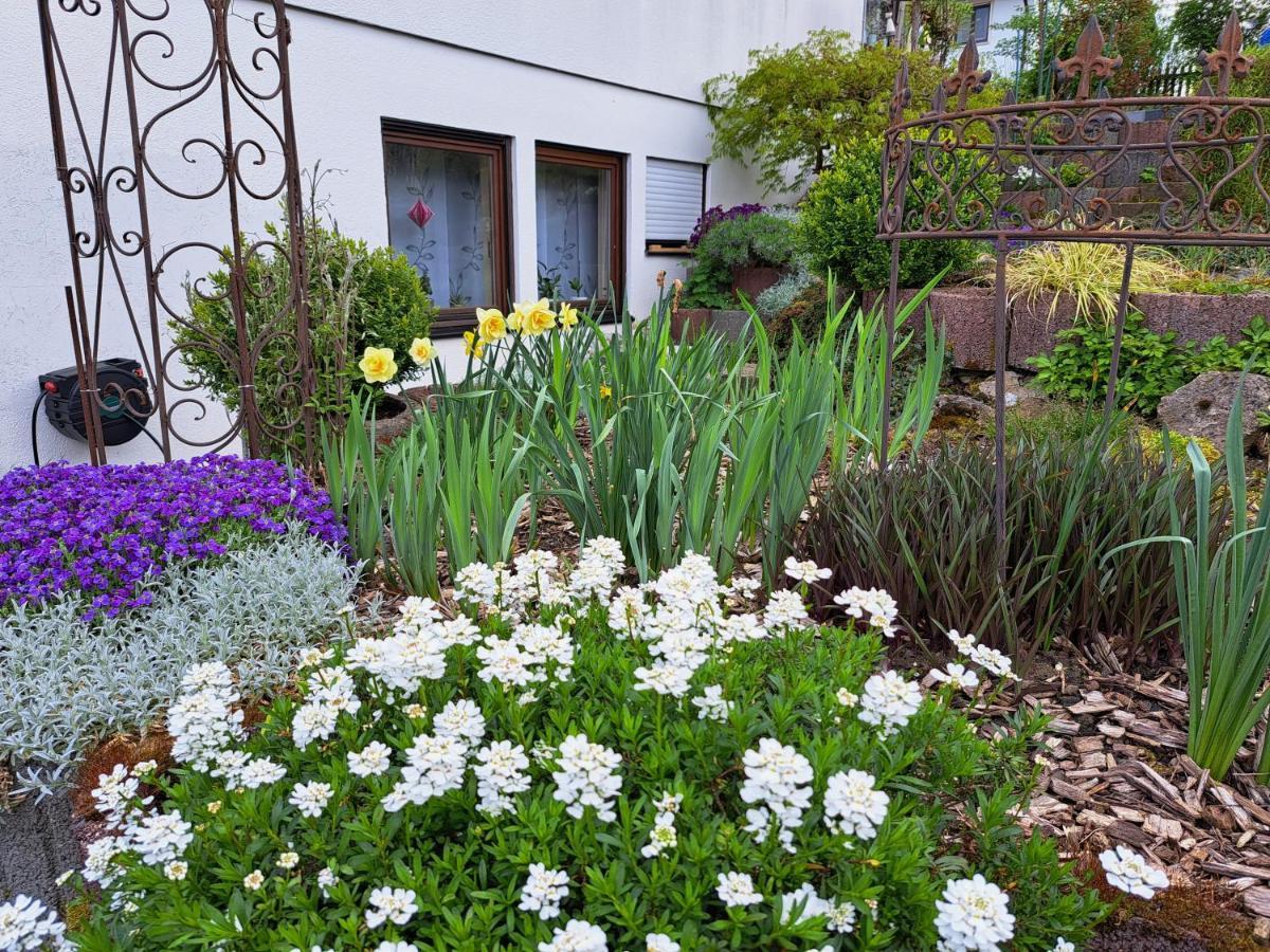 Apartment Curly Scheyern Exterior foto